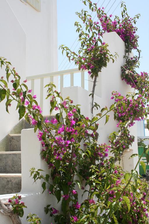 Korali Hotel Antiparos Town 部屋 写真